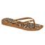 cor Onca multi camel