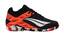 cor Preto, Coral