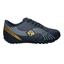 cor Preto, Dourado