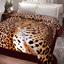 cor LEOPARDO