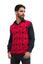 cor Vermelho, Ver