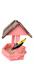 cor Rosa