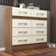 cor Castanho/Offwhite