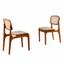 cor linho premium imbuia