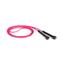 cor Rosa