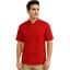 cor VERMELHO