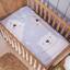 cor Urso Polar