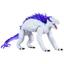 cor Shimo
