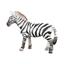 cor Zebra sem caixa