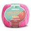 cor 3182 pitaya