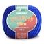 cor 2829 azul bic