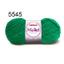 cor 5545-Bandeira