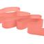 cor 1393 CORAL