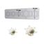 cor Sh0101916