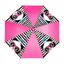 cor Rosa