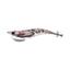 cor 3, 0 30g cor 03