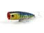 cor Cor 04, Sardinha