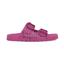 cor Fuchsia night