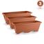 cor Terracota