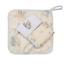 cor Urso Polar