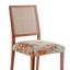 cor Tropical-KIT4-CAPA