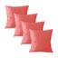 cor Rosa Coral