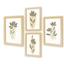 cor Kit Floral 5