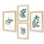 cor Kit Floral 7