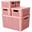 cor Rosa