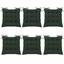 cor VERDE-MUSGO-6PC