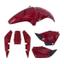 cor VERMELHO CARUARU 2004 - 2006