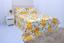 cor Floral Amarelo