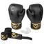 cor Ls preto, Dourado