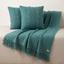 cor menta