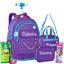cor LU24606 Roxo