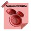 cor Vermelho