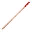 cor RAW RUSSET