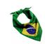 cor Bandeira do brasil