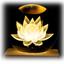 cor Flor de lotus