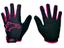 cor Preto, Rosa