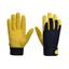 cor XL-Amarelo