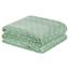 cor SALVIA