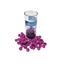 cor Roxo C/ Glitter