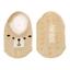 cor Urso