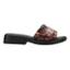 cor Preto, Tartaruga