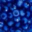 cor royal