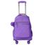 cor Roxo