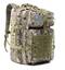 cor Multican