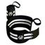 cor Preto, Branco