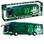 cor Palmeiras